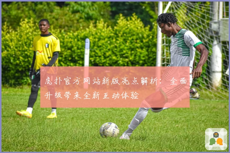 虎扑官方网站新版亮点解析：全面升级带来全新互动体验