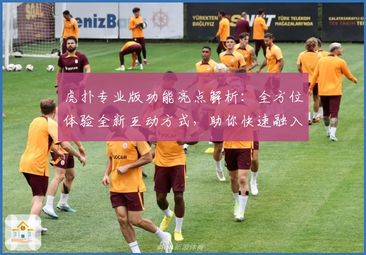 虎扑专业版功能亮点解析：全方位体验全新互动方式，助你快速融入体育社区