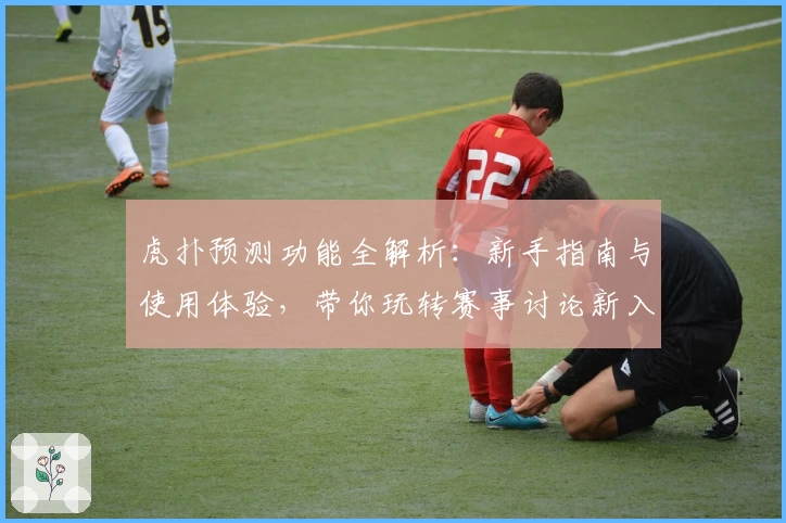 虎扑预测功能全解析:新手指南与使用体验,带你玩转赛事讨论新入口